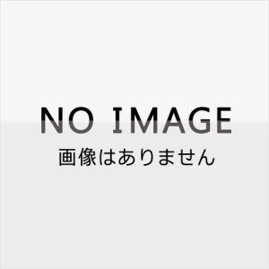 森鴎外／めいこいキャラクターソングシリーズ ロマネスクレコード2 其ノ壱「Traumerei」 【CD】