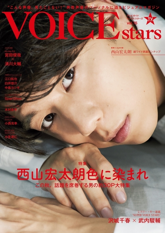 【ムック】VOICE STARS Vol.15