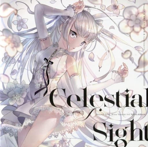 同人音楽CDソフト Celestial Sight / BlackY’s BEATFLOOR＆Luminaria