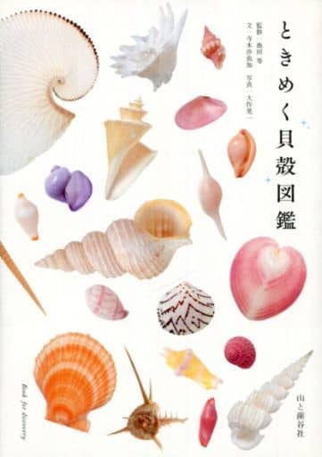 科学・自然 <<科学・自然>> ときめく貝殻図鑑 / 寺本沙也加